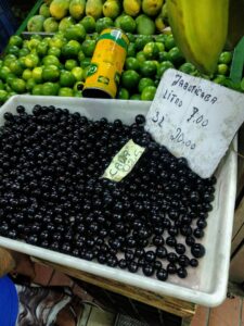 Jabuticaba a Brazilian fruit
